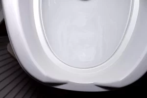 Front of a Thetford bowl with the porcelain insert installed.